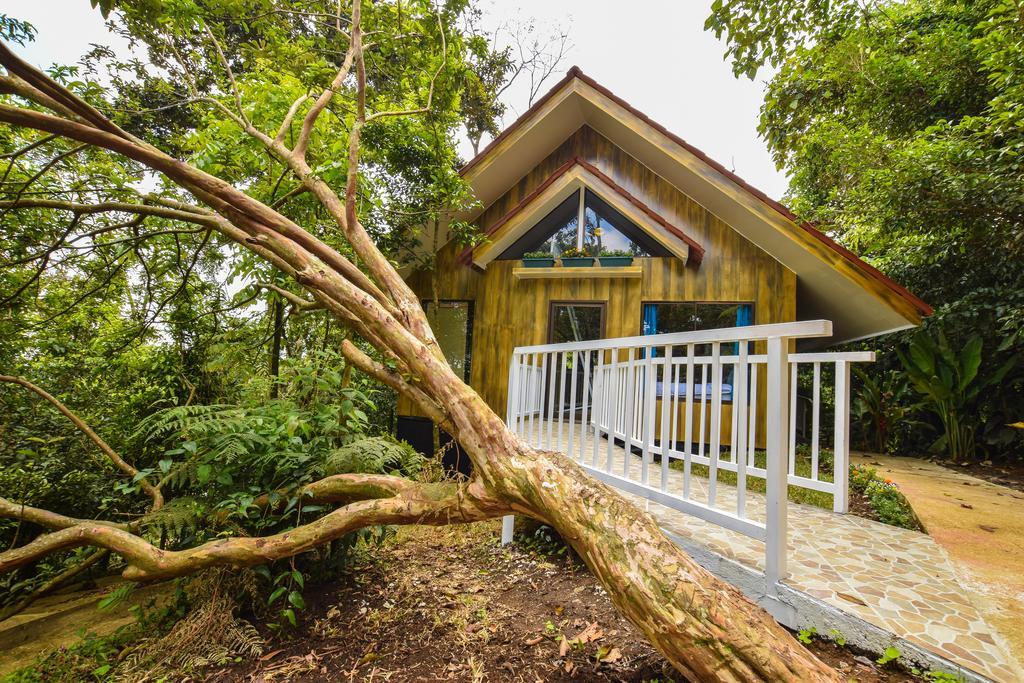 Arenal Waterfall Lodge Экстерьер фото
