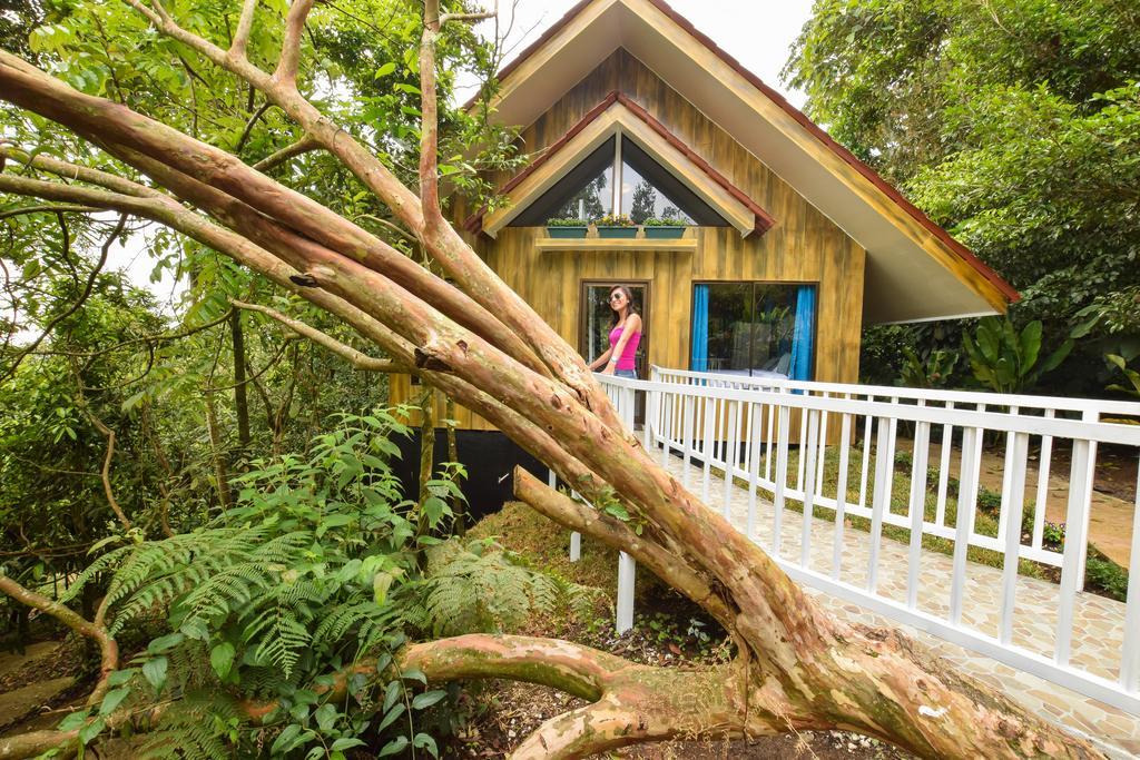 Arenal Waterfall Lodge Экстерьер фото